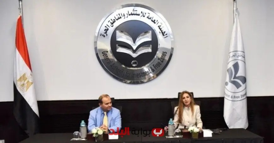 هيئة الاستثمار تعقد ورشة عمل لتعزيز دور الشركات المصرية في المنافسة على المناقصات الدولية