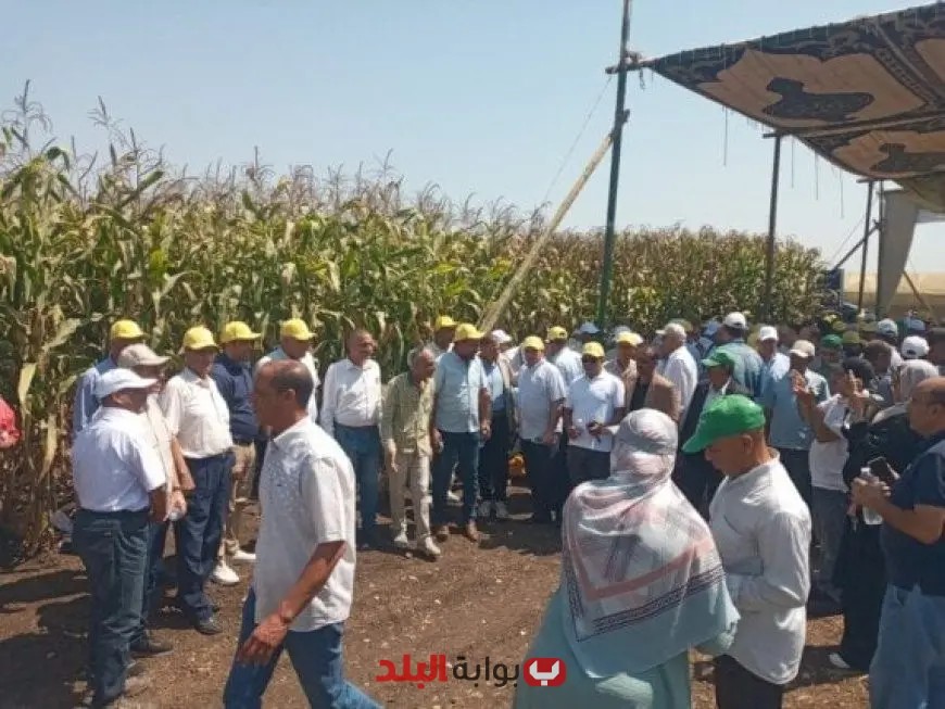 وزير الزراعة يطلق 23 هجينًا جديدًا من الذرة الشامية في يوم الحقل السنوي