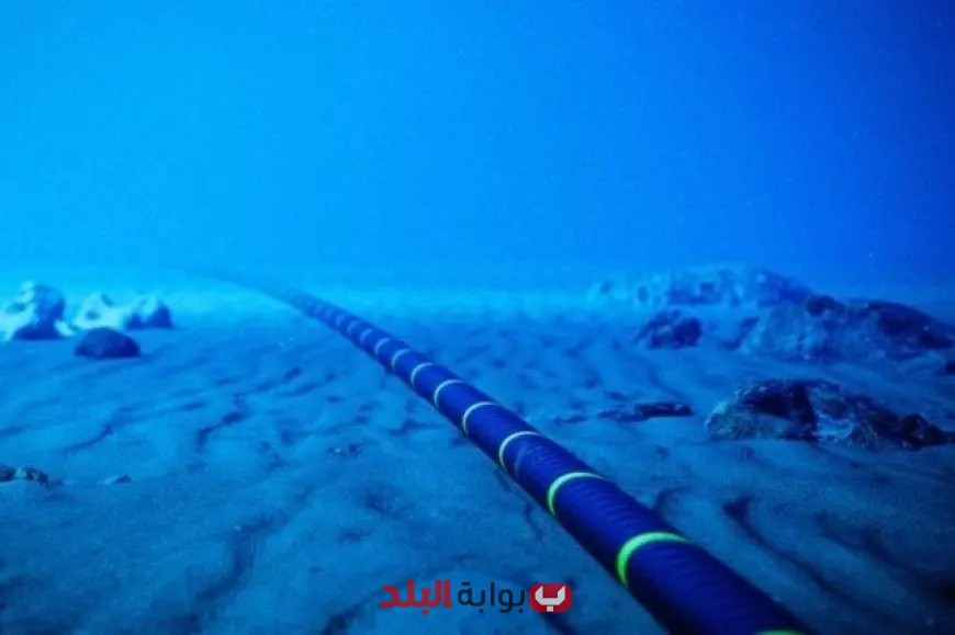 مصر تتصدر قائمة الدول الأفريقية كمركز رئيسي في صناعة الكابلات البحرية وفقاً لمعلومات الوزراء