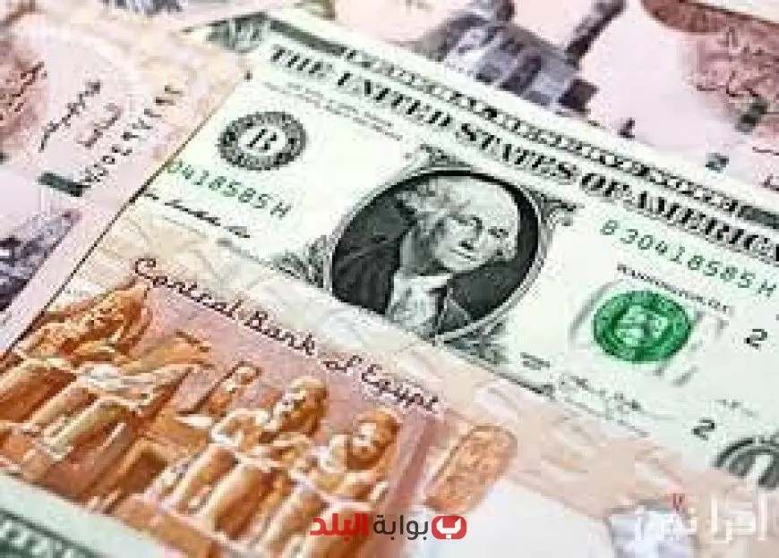من ارتفاع الدولار إلى تراجع قيمته كيف أثرت السياسات الحكومية على سعر الصرف؟