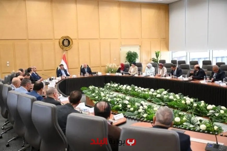 وزيرا الصناعة والزراعة يناقشان استراتيجيات توسيع إنتاج الزبيب وتوطين صناعة الكتان في مصر
