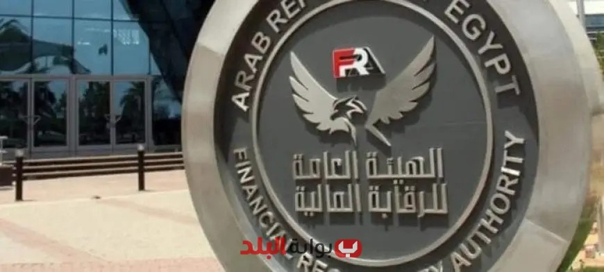 الرقابة المالية تكشف عن زيادة تمويل المشروعات متناهية الصغر إلى 40.9 مليار جنيه في النصف الأول من 2025