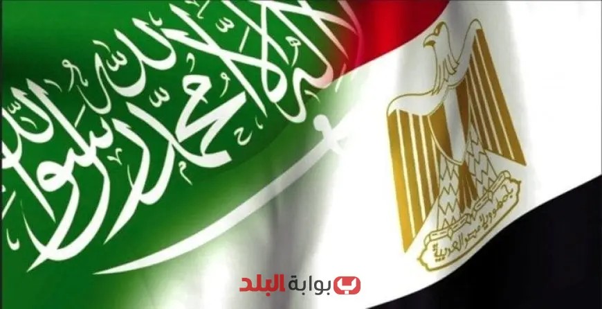صادرات مصر للسعودية تصل إلى 1.5 مليار جنيه في النصف الأول من 2025 مسجلةً نموًا ملحوظًا