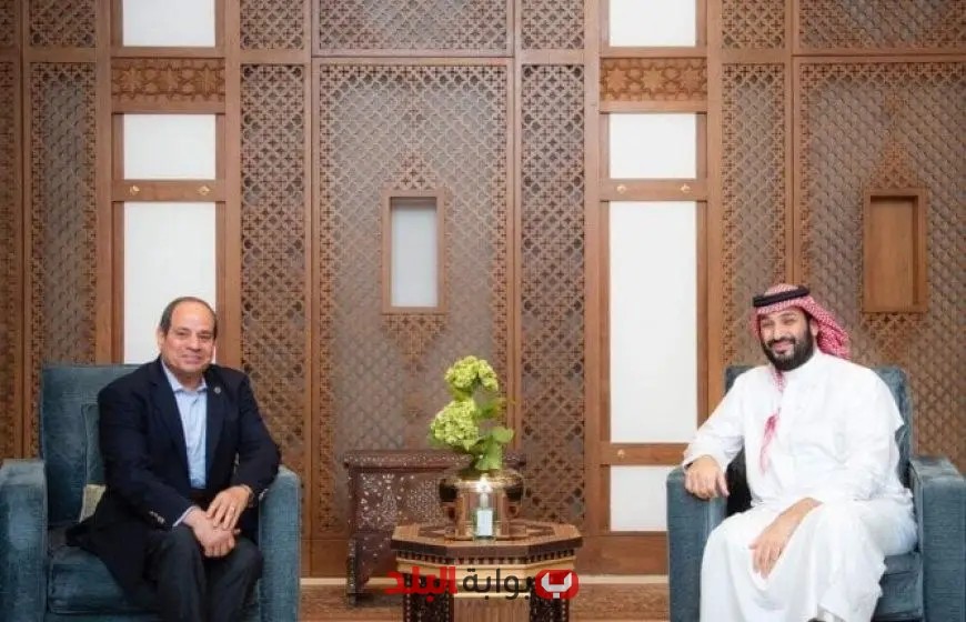 الرئيس السيسي وولي العهد السعودي يبحثان الجهود المصرية لوقف إطلاق النار في غزة