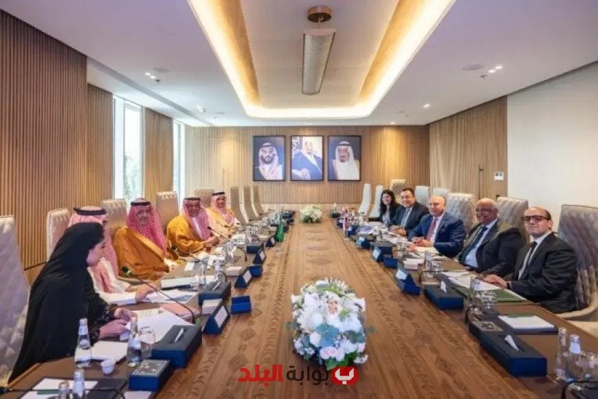 نائب رئيس الوزراء يناقش تعزيز التعاون مع السعودية في جلسة حوارية شيقة
