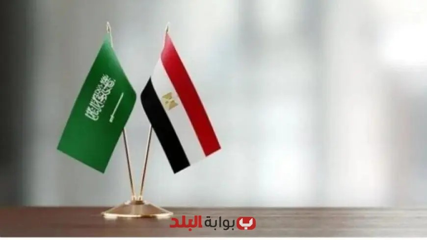 أمين الجامعات الإسلامية يؤكد أن مصر والسعودية هما العمودان الرئيسيان للأمتين العربية والإسلامية