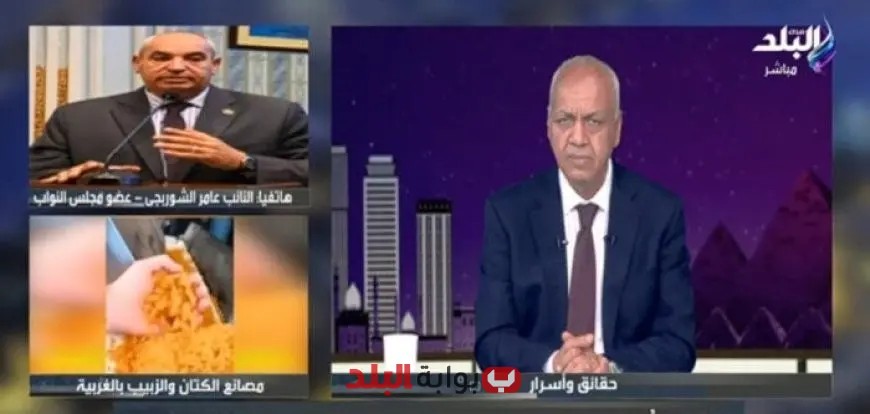 عامر الشوربجي يعلن خطة جديدة لتحويل صناعة الزبيب في مصر من الاستيراد إلى التصدير