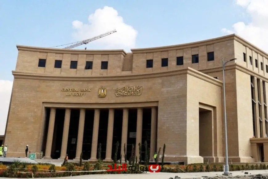 توقعات فيتش لخفض الفائدة في مصر 4% في 2025 و9.75% في 2026 قبل اجتماع المركزي المصري