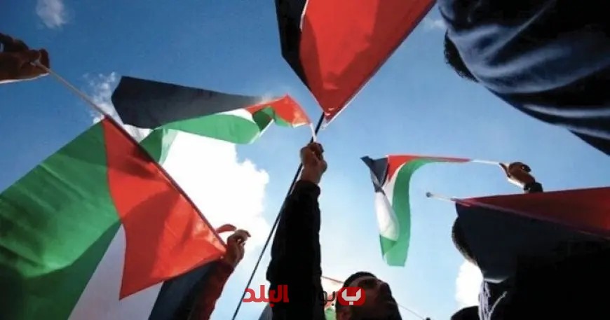 مظاهرات ضخمة للجالية المصرية في النمسا تأييدًا للقيادة السياسية وتضامنًا مع القضية الفلسطينية