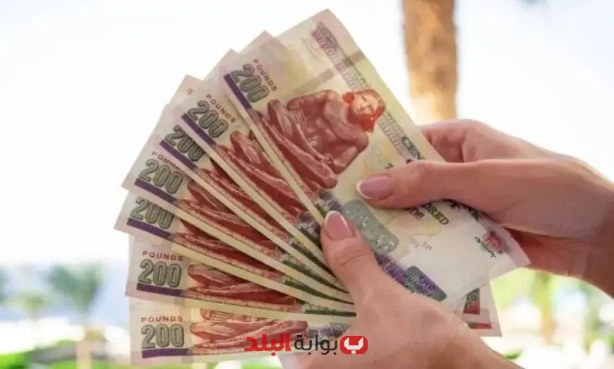 بدء صرف مرتبات أغسطس 2025 اليوم تفاصيل هامة للمستفيدين