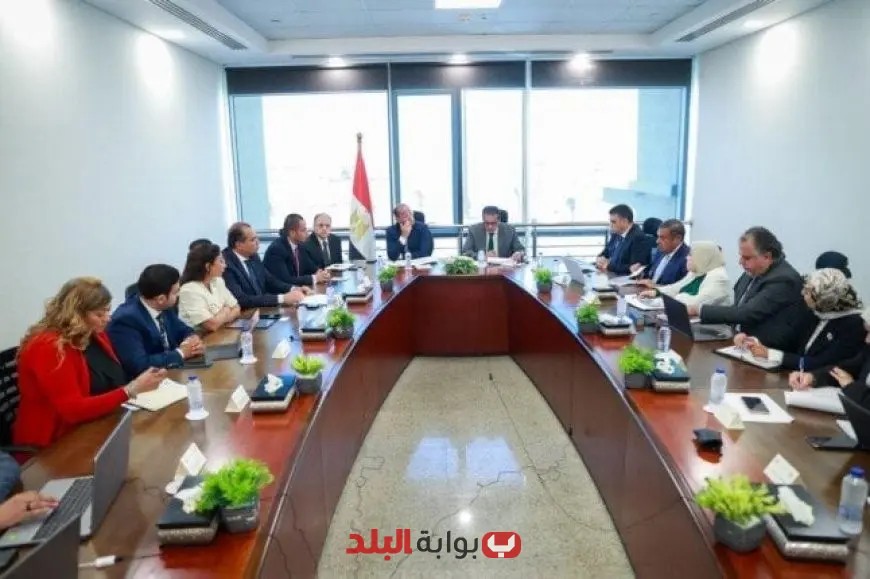 وزير المالية يؤكد التزام مصر بتعزيز وجود المنتجات الطبية في الأسواق العالمية