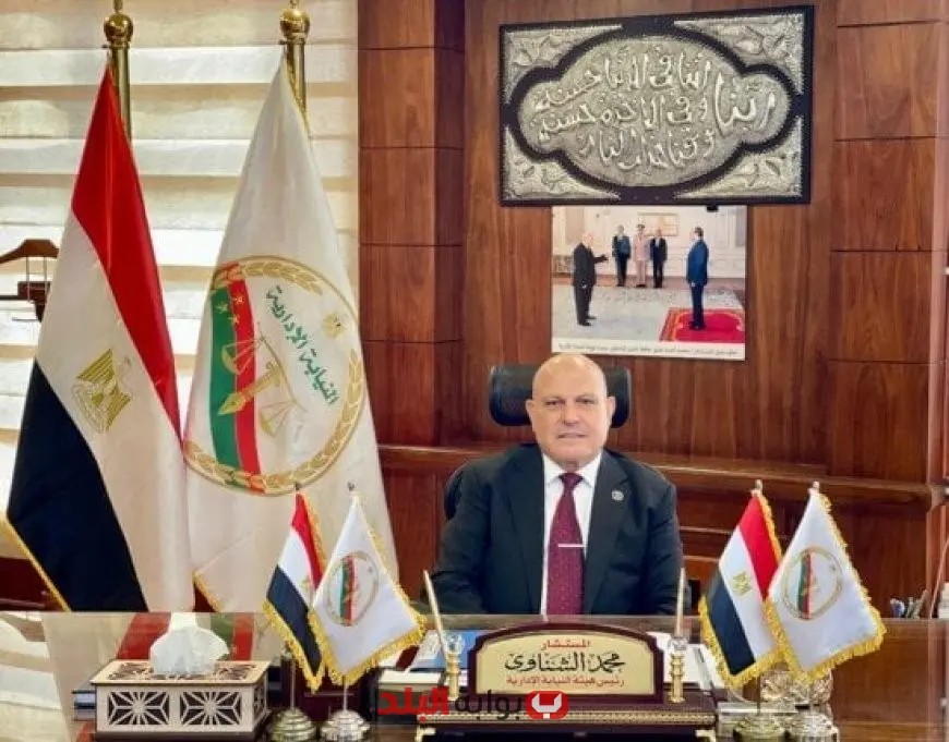 لأول مرة تاريخية عضوات النيابة الإدارية يشرفن على الانتخابات القضائية للنقابات والأندية