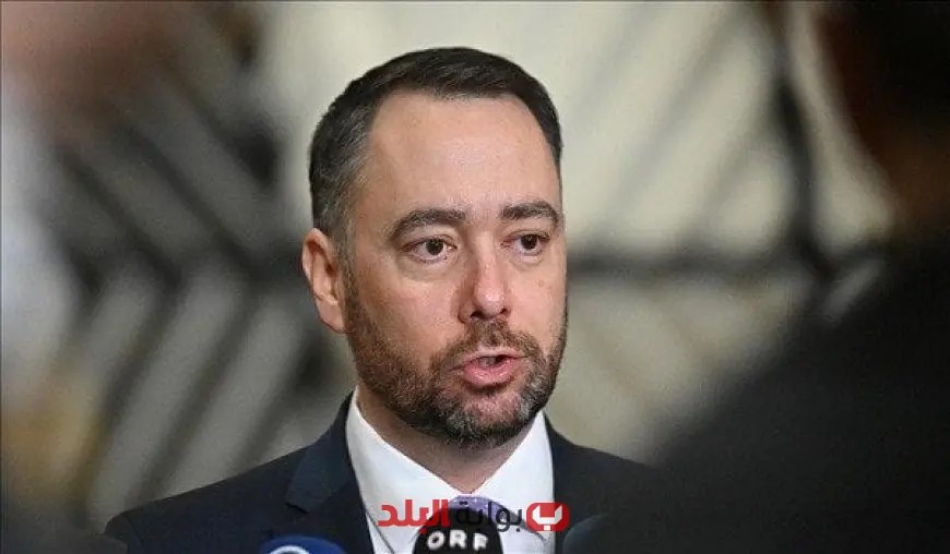 وزير خارجية بلجيكا يدعو للاعتراف الرسمي بدولة فلسطين