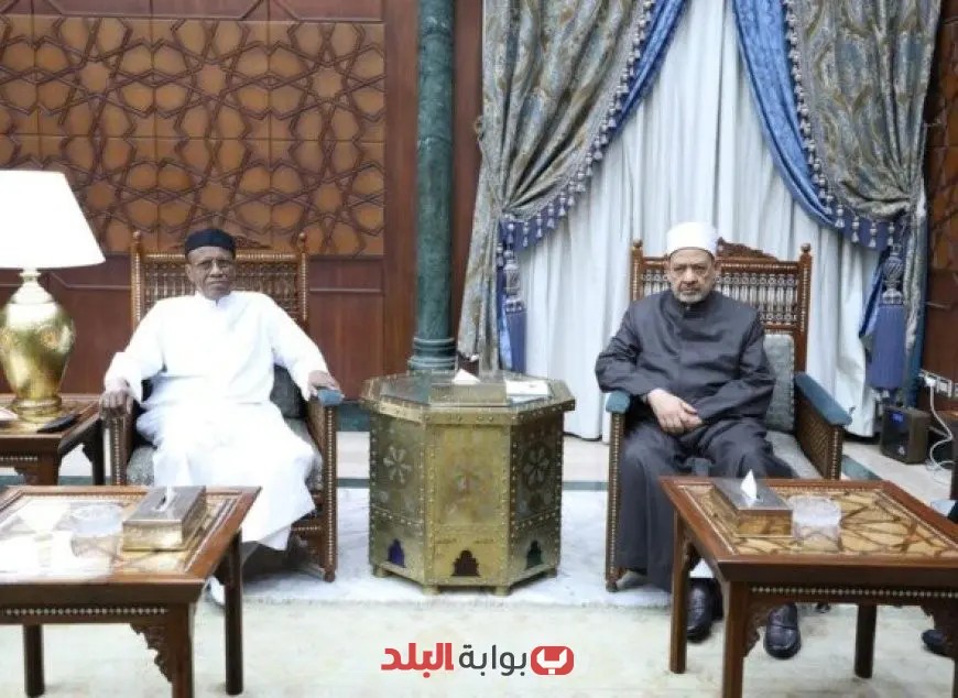 شيخ الأزهر يناقش مع رئيس جامعة الملك فيصل بتشاد طرق تعزيز الدعم التعليمي والبحثي