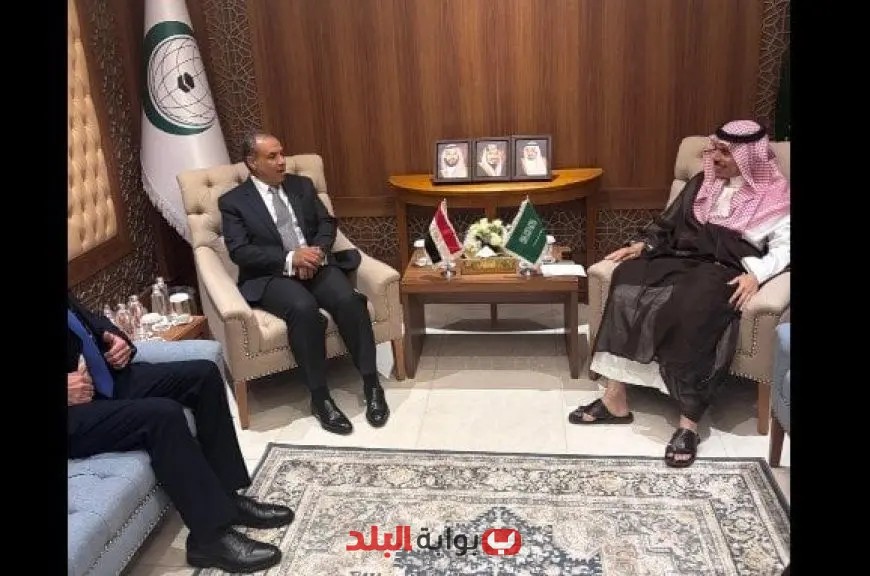 وزير الخارجية ونظيره السعودي يجددان تأكيدهما على رفض العدوان الإسرائيلي في غزة