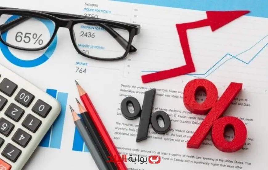 خبير اقتصادي يكشف لـبوابة البلد أسباب توجه المركزي المصري لتخفيض الفائدة بـ300 نقطة أساس