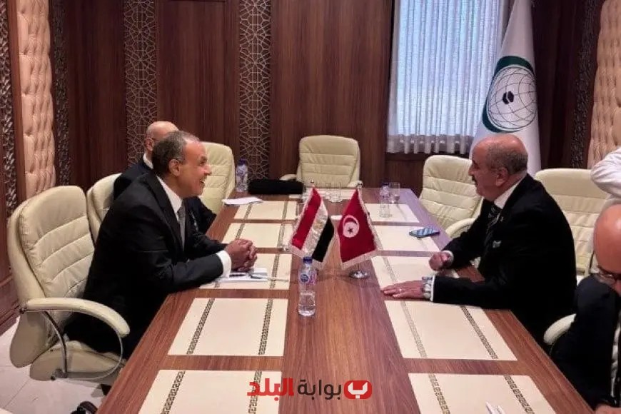 وزير خارجية مصر وتونس يناقشان تعزيز العلاقات الثنائية وأهم التطورات الإقليمية