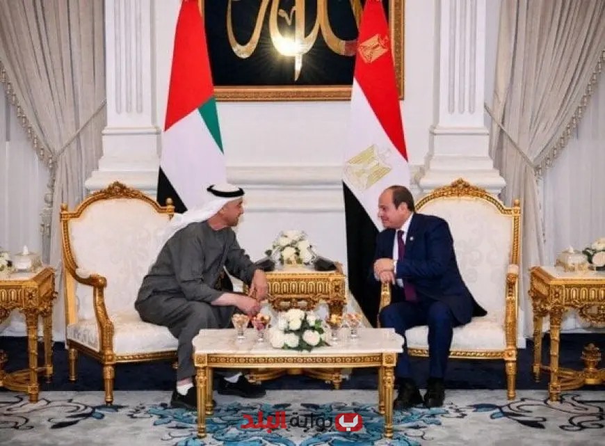 الرئاسة تكشف عن فيديو مميز لاستقبال الرئيس السيسي نظيره الإماراتي في مطار العلمين