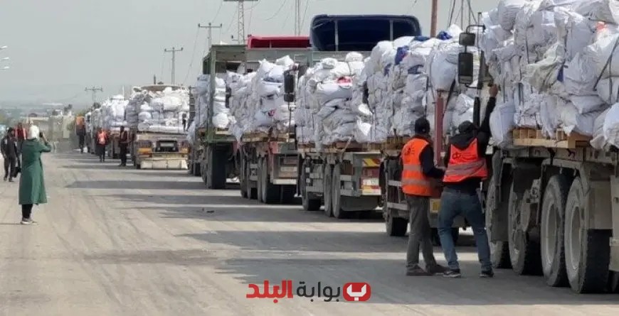 قافلة المساعدات المصرية الـ 23 ضمن مبادرة زاد العزة تصل غزة لتعزيز الدعم الإنساني