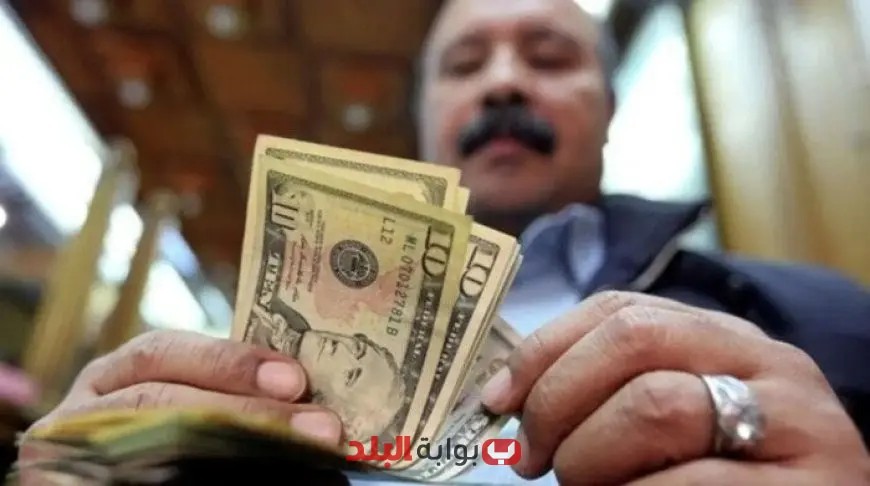 البنك المركزي يعلن حصيلة تحويلات المصريين بالخارج تصل إلى 36.5 مليار دولار في عام واحد