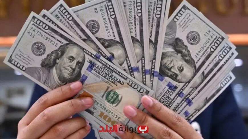 46 مليار دولار قيمة تحويلات المصريين العاملين في الخارج منذ تحرير سعر الصرف