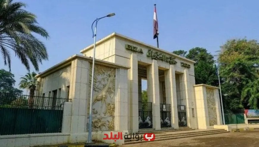 تحالف تطوير حديقة الحيوان يعلن عن استيراد 362 حيوانًا جديدًا لتعزيز التنوع البيولوجي