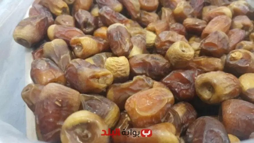 مهرجان التمور يعود بقوة إلى الواحات البحرية بمشاركة محلية ودولية واسعة وتوقعات بنجاح مذهل للفعاليات
