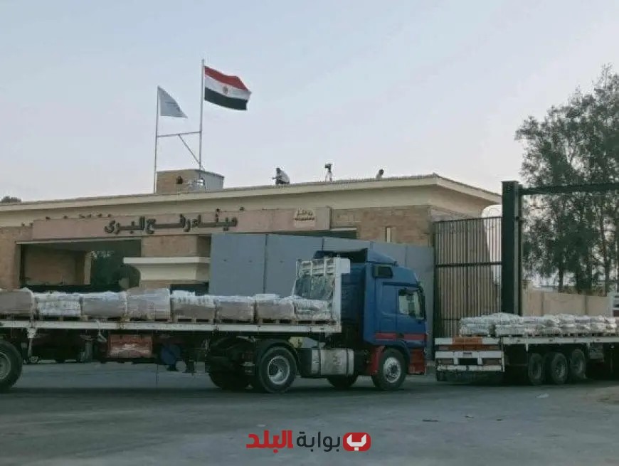 10 شاحنات مساعدات إماراتية تصل قطاع غزة عبر معبر كرم أبو سالم