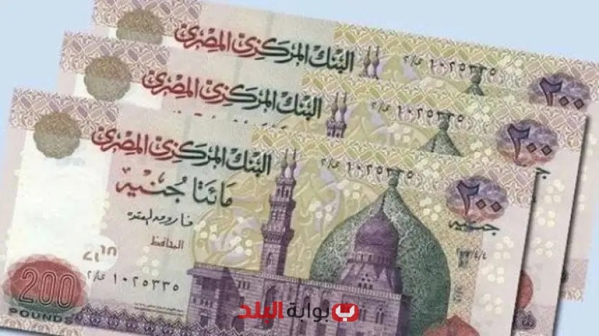 بعد تخفيض سعر الفائدة بنسبة 2% تعرف على أبرز الرابحين من القرار الاقتصادي