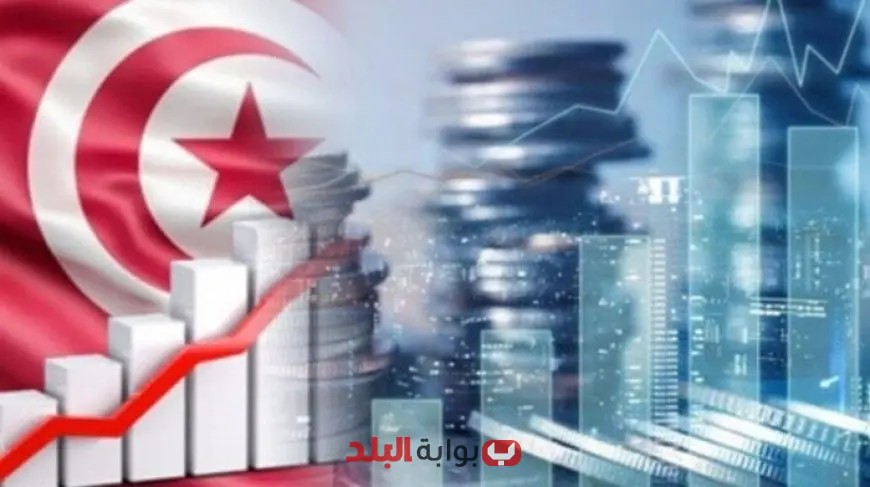 تونس تسعى لجذب 4 مليارات دينار من الاستثمارات الخارجية سنوياً حتى عام 2030