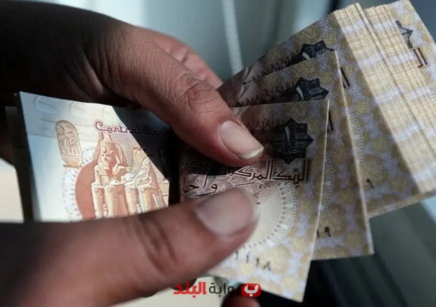 وزير المالية يكشف عن إطلاق أول صك بالجنيه في السوق المصري قبل نهاية 2025