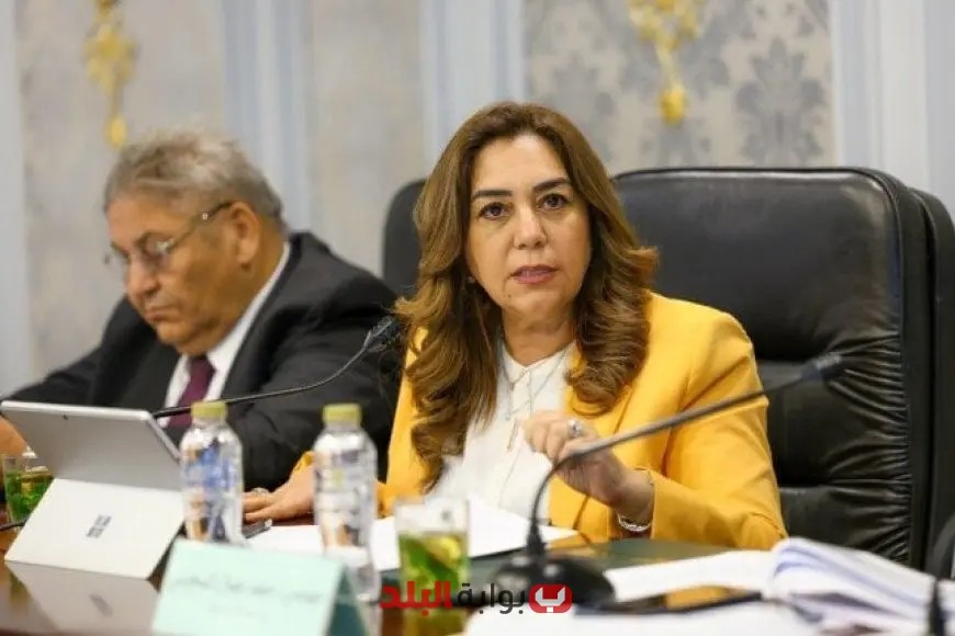 وزيرة التنمية المحلية تكشف عن أبرز إنجازات وحدة السكان المركزية في أغسطس 2025