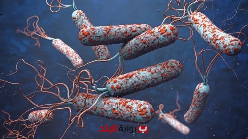 إفريقيا تطلق خطة استجابة شاملة لمواجهة الكوليرا وتقليل ضحايا المرض