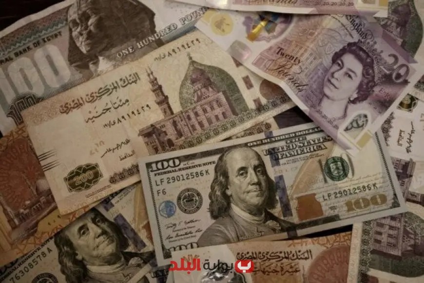 صافي الأصول الأجنبية للبنوك المصرية يسجل 18.5 مليار دولار فائض بحلول نهاية يوليو 2025