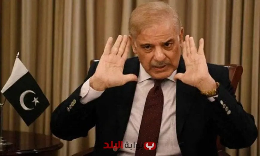 باكستان تطالب من قمة شنغهاي بإنهاء حرب غزة وتحقيق وقف شامل لإطلاق النار