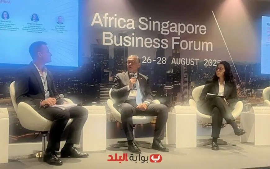 حسام هيبة يكشف عن أحدث مستجدات بيئة الاستثمار في مصر خلال منتدى أعمال أفريقيا سنغافورة