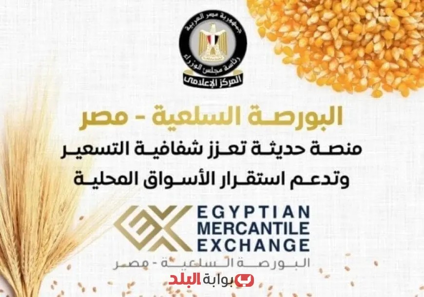 حجم التداولات بالبورصة السلعية يصل إلى 1.73 مليون طن بقيمة 21.5 مليار جنيه وفقاً لتقرير الوزراء إنفوجراف