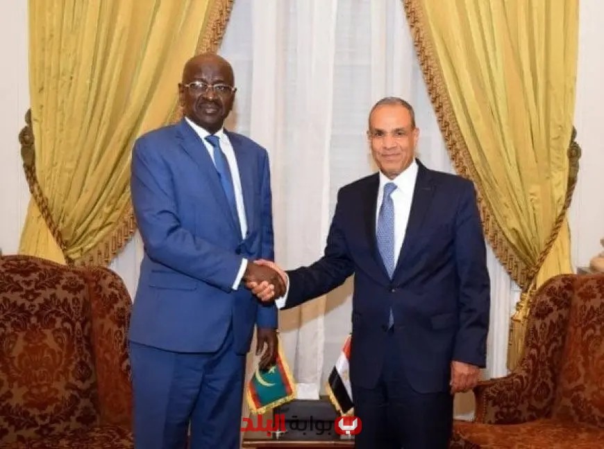 وزير الخارجية ونظيره الموريتاني يتعهدان بتعزيز العلاقات الثنائية ودعم فلسطين