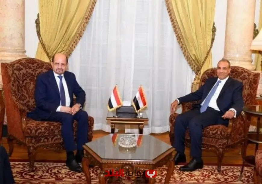 وزير الخارجية المصري يؤكد دعم مصر القوي لوحدة أراضي اليمن