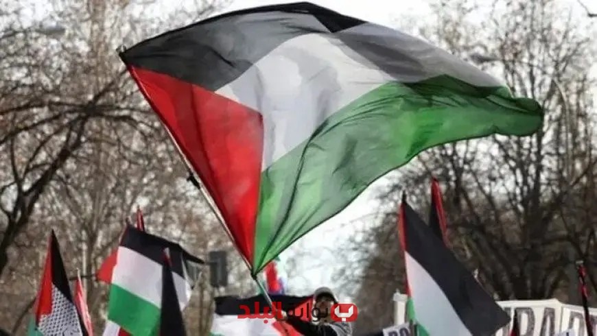 فنلندا تؤكد التزامها بحل الدولتين وتعترف بفلسطين في إعلان نيويورك