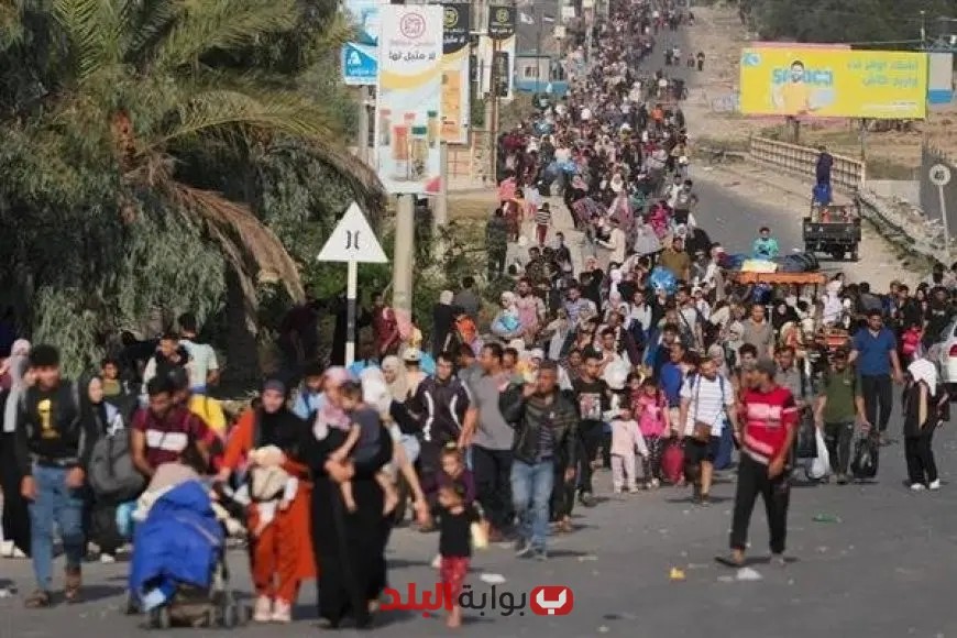 خبراء يعلنون أن مصر ترفض التهجير وتتمسك بحق الفلسطينيين في القضية الفلسطينية