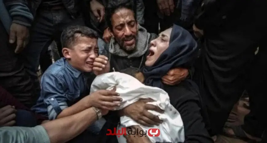 700 يوم من الإبادة الجماعية في غزة مقتل عشرات الآلاف بسبب 150 ألف طن من المتفجرات