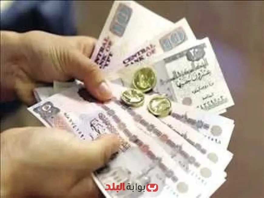 البنك الأهلي يطلق شهادات استثمار جديدة بعائد ثابت 14% لمدة سنة