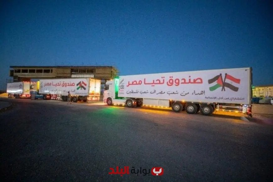 قافلة المساعدات الإنسانية الـ31 تنطلق من مصر إلى قطاع غزة مع فيديو حصري