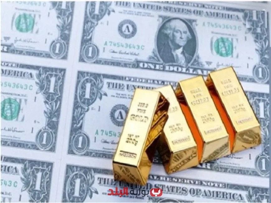 البنك المركزي يعلن عن زيادة الاحتياطي الأجنبي إلى 49.25 مليار دولار في نهاية أغسطس