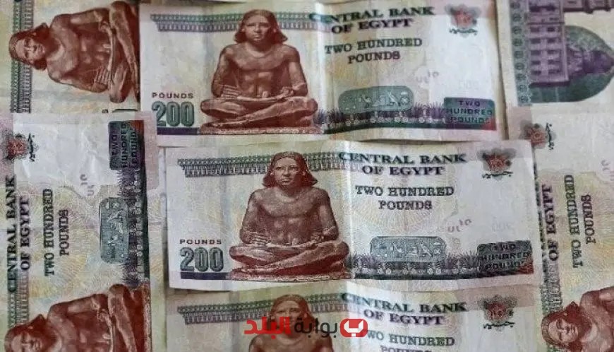 شهادات بنكي الأهلي ومصر الملاذ الآمن للعملاء رغم خفض أسعار الفائدة