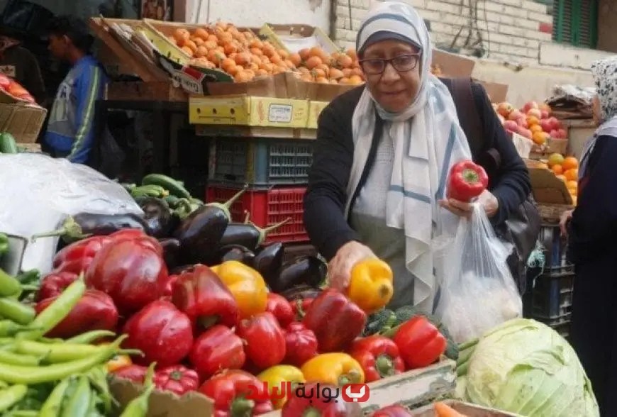توقعات بزيادة تباطؤ التضخم في مصر إلى 12.7% في أغسطس حسب رويترز