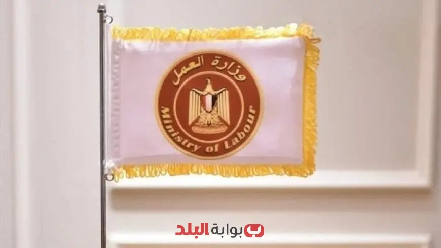 وزارة العمل تكشف عن توقف مؤقت لبعض الخدمات الإلكترونية معاودتها خلال 48 ساعة