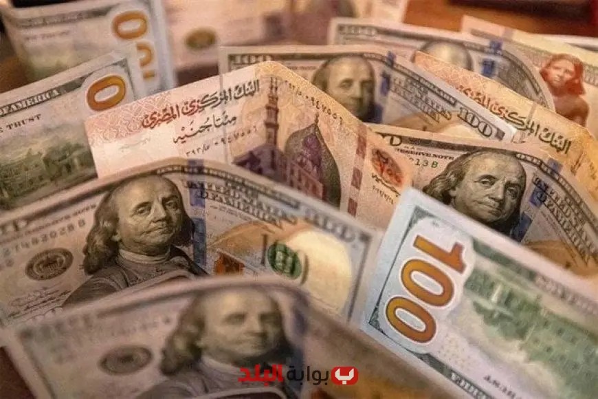 انخفاض سعر الدولار في البنوك إلى 47.96 جنيه الأدنى في 14 شهر ونصف