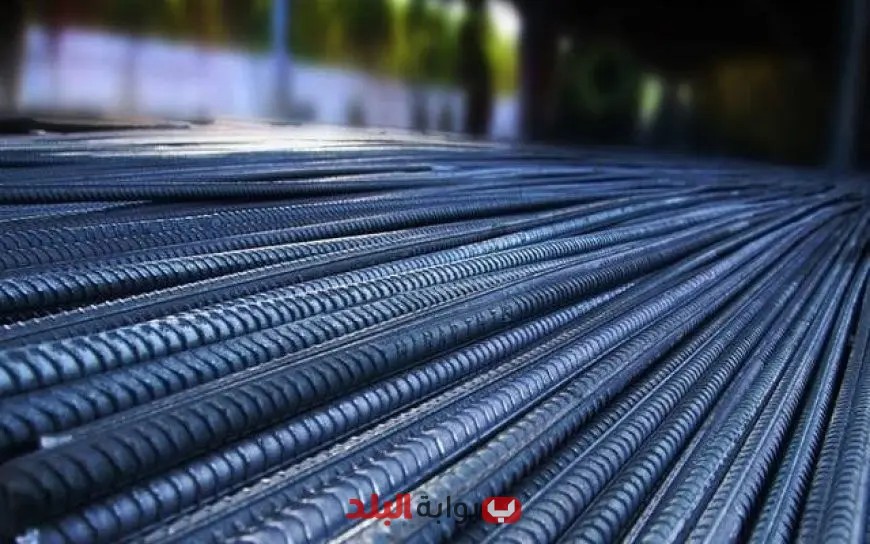 الحكومة تفكر في فرض رسوم وقائية على واردات مسطحات الصلب لحماية حديد عز